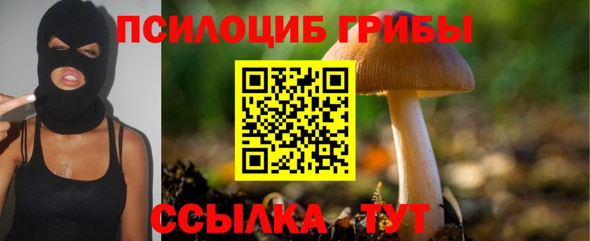 Галлюциногенные грибы GOLDEN TEACHER Барабинск