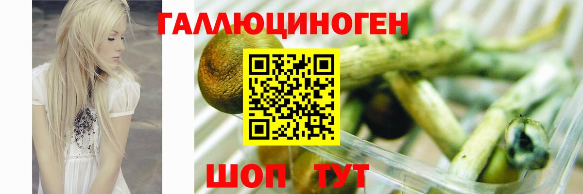 Галлюциногенные грибы прущие грибы  Вход с VPN  Барабинск 
